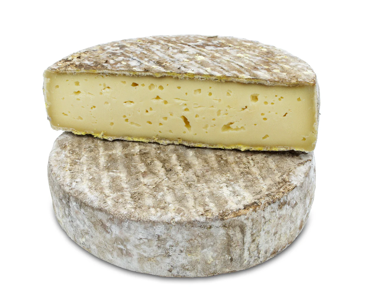 Tomme de Montagne